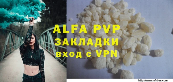 a pvp Бородино